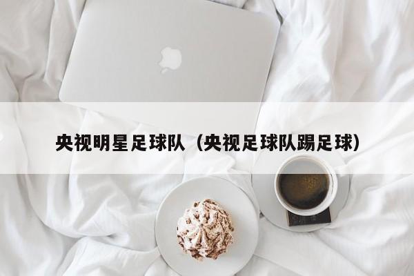 央視明星足球隊(duì)（央視足球隊(duì)踢足球）